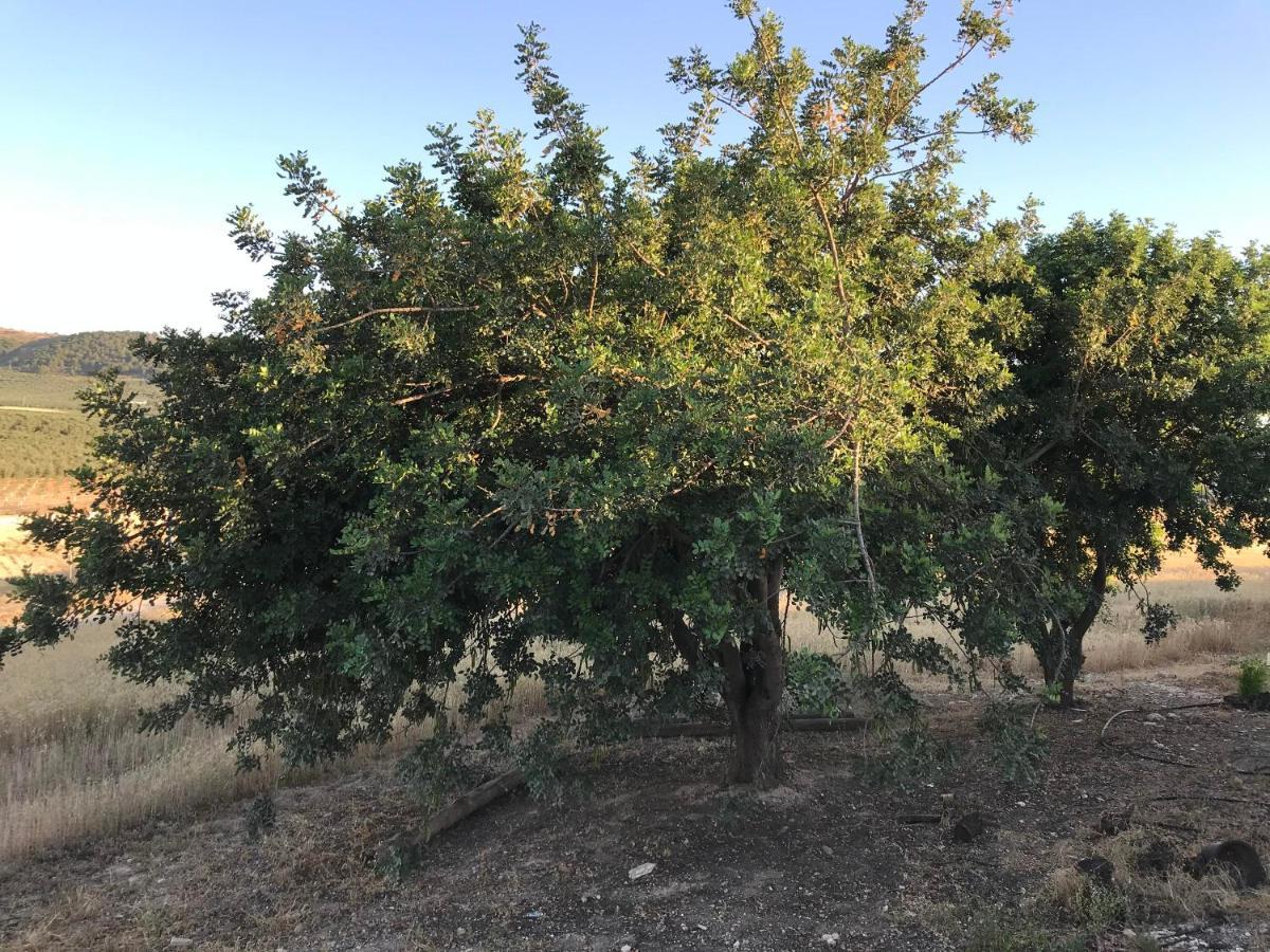 Cortijo Vista Alegre Villa Fuente de Piedra Esterno foto